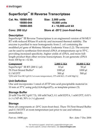 SuperScript™ III Reverse Transcriptase - Invitrogen