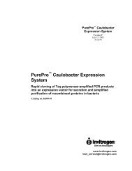 PET SUMO Protein Expression System - Courses