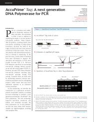 AccuPrime™ Taq: A next generation DNA Polymerase ... - Invitrogen