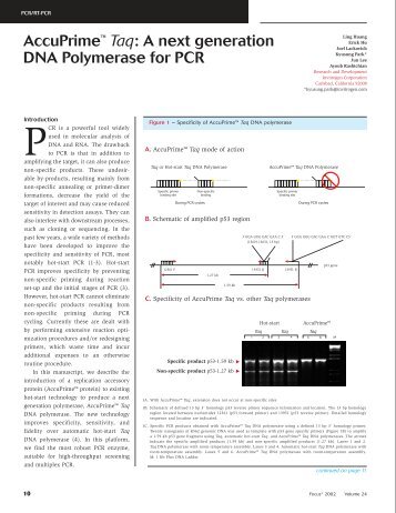 AccuPrime™ Taq: A next generation DNA Polymerase ... - Invitrogen