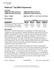 Platinum® Taq DNA Polymerase - Invitrogen