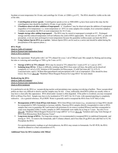 TRIzol Reagent - Invitrogen