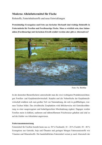 Moderne Alleinfuttermittel für Fische - Bayerische Landesanstalt für ...