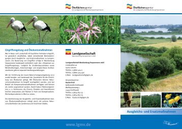 Flyer Ökoflächenagentur (PDF / 6,6 MB) - Landgesellschaft ...