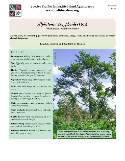 Alphitonia zizyphoides (Toi) - Agroforestry Net