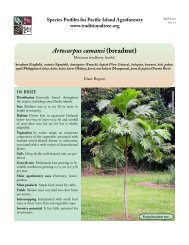 Artocarpus camansi (breadnut) - Agroforestry Net