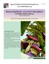 Musa species (bananas and plantains) - Agroforestry Net