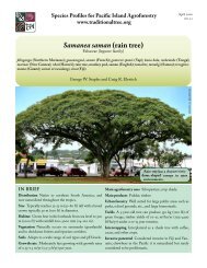 Samanea saman (rain tree) - Agroforestry Net