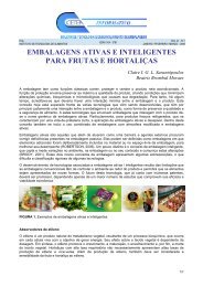 EMBALAGENS ATIVAS E INTELIGENTES PARA ... - Embrapa