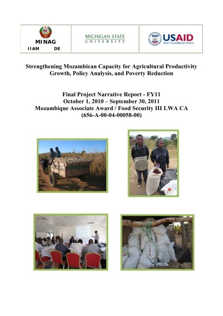 Mozambique CAADP - Department of Agricultural Economics ...