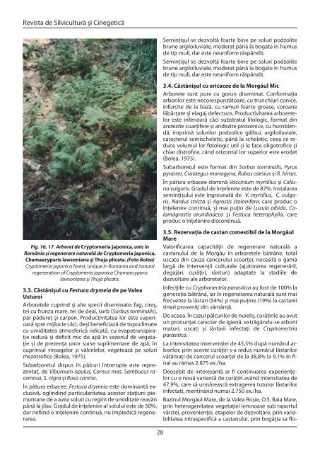 Certificarea pădurilor - Societatea Progresul Silvic