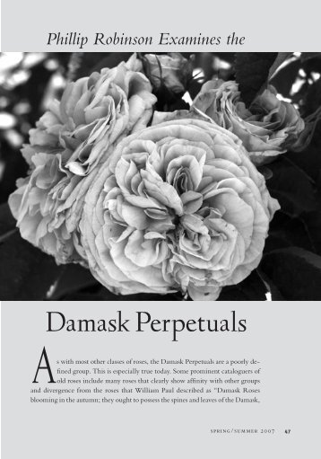 Damask Perpetuals - Heritage Rose Foundation