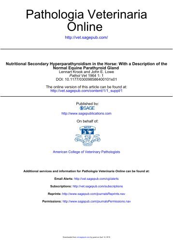 Nutritional Secondary Hyperparathyroidism in the Horse