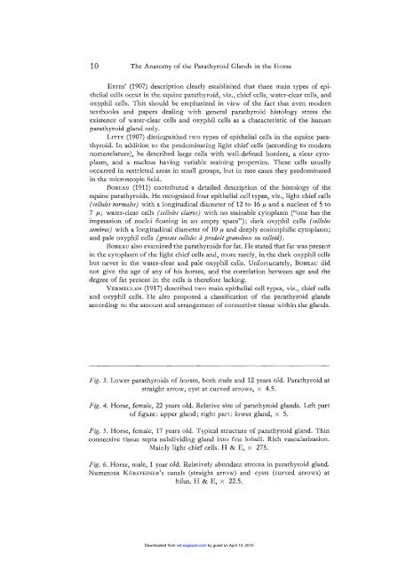 Nutritional Secondary Hyperparathyroidism in the Horse