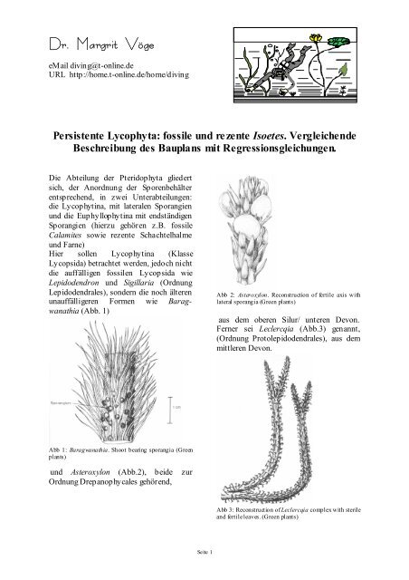 Vöge, M., 2003. Persistente Lycophyta: fossile und rezente - Tauchen