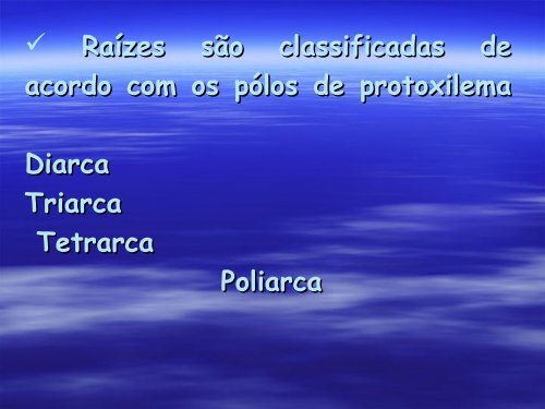 Anatomia de Raiz e Caule