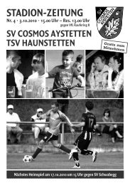 Nr. 4 - SV Cosmos Aystetten
