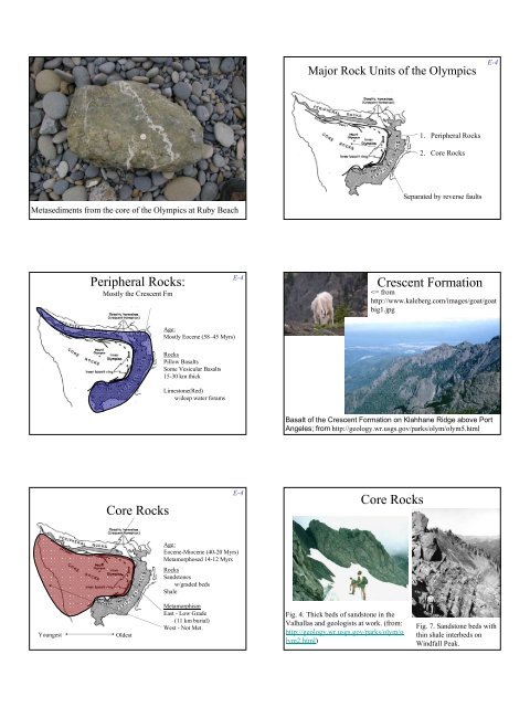 Eocene-Mid Miocene sedimentary rocks and Olympic Mountains