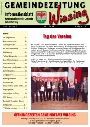 17.Ausgabe der Gemeindezeitung (2,62 MB) - Gemeinde Wiesing