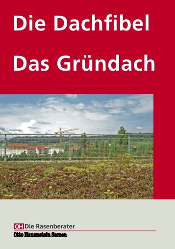 Typische Dachpflanzen - Weber Dach AG