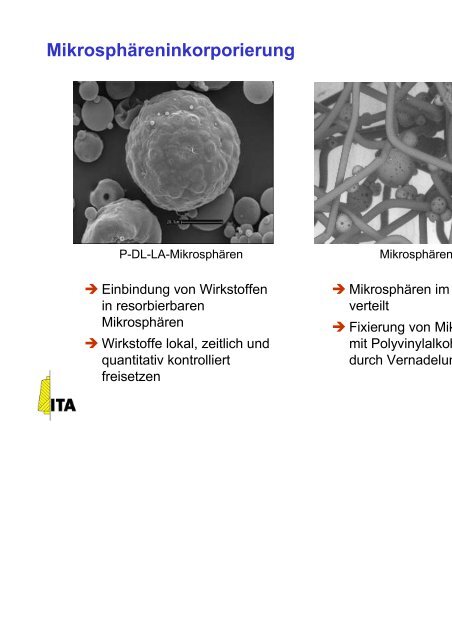 Zur Veranstaltung Am 21. Juli 2003 Industrie - ZiTex