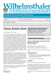 Thema: Schnee-Chaos - Gemeinde Wilhelmsthal