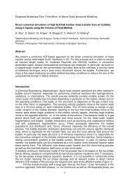 Direct numerical simulation of high Schmidt number mass - CSI