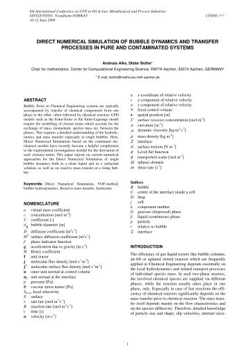 Direct Numerical Simulation of Bubble Dynamics and Transfer - CSI