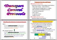 Transport Services and Issues Internet Transport Control Protocols