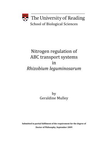 Nitrogen regulation of ABC transport systems in Rhizobium ...