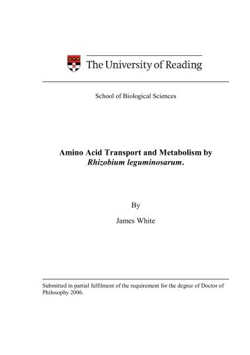 Amino Acid Transport and Metabolism by Rhizobium leguminosarum.