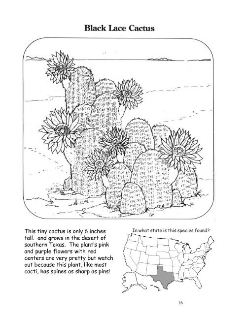 Endangered Species Coloring Book - US Environmental Protection ...