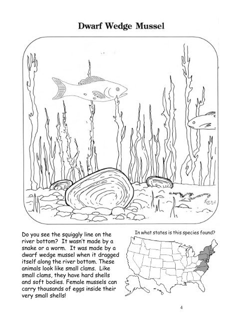 Endangered Species Coloring Book - US Environmental Protection ...