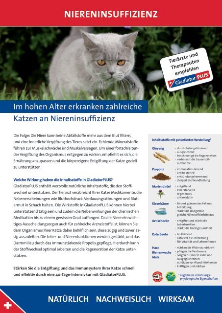 Katze - Niereninsuffizienz - GladiatorPLUS