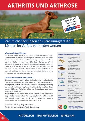 Hund - Arthritis und Arthrose - GladiatorPLUS