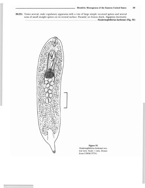 Marine Flora and Fauna of the Eastern United States Platyhelminthes