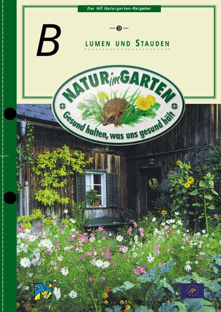 Blumen Und Stauden Natur Im Garten