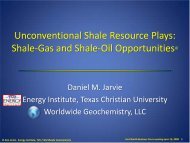 Unconventional Shale Resource Plays: Shale-Gas and Shale-Oil ...