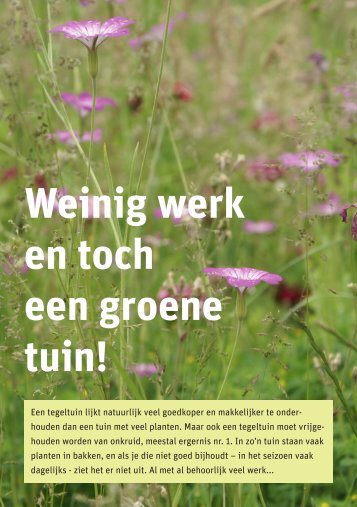 Weinig werk en toch een groene tuin! - Piekobello Tuinontwerp