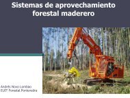 Sistemas de aprovechamiento forestal maderero