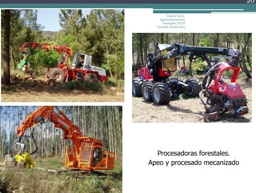 Sistemas de aprovechamiento forestal maderero