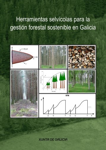 Herramientas selvícolas para la gestión forestal sostenible en Galicia