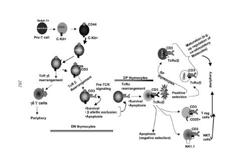 Target Discovery and Validation Reviews and Protocols