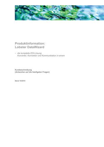 Produktinformation: Lobster DataWizard - Lobster GmbH