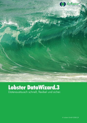 Lobster DataWizard.3 - Lobster GmbH