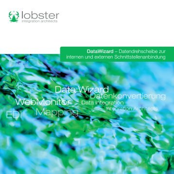 DataWizard – Datendrehscheibe zur internen und ... - Lobster GmbH