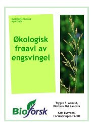 Økologisk frøavl av engsvingel - Agropub