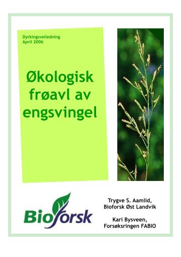 Økologisk frøavl av engsvingel - Agropub