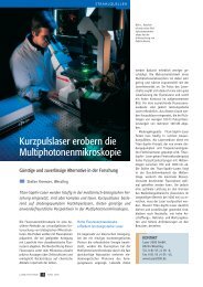 Kurzpulslaser erobern die Multiphotonenmikroskopie - Laser 2000 ...