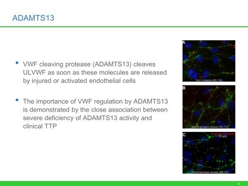 First results of the Phase II TITAN trial: anti-von Willebrand ... - Ablynx